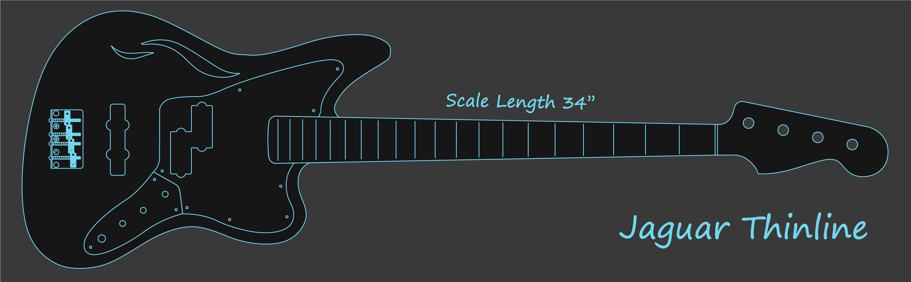 Desenho de Jaguar Thinline